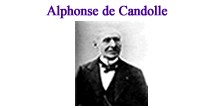 Alphonse de Candolle image was downloaded from Wikipedia