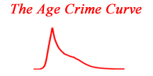 The Age Crime Curve Puzzle